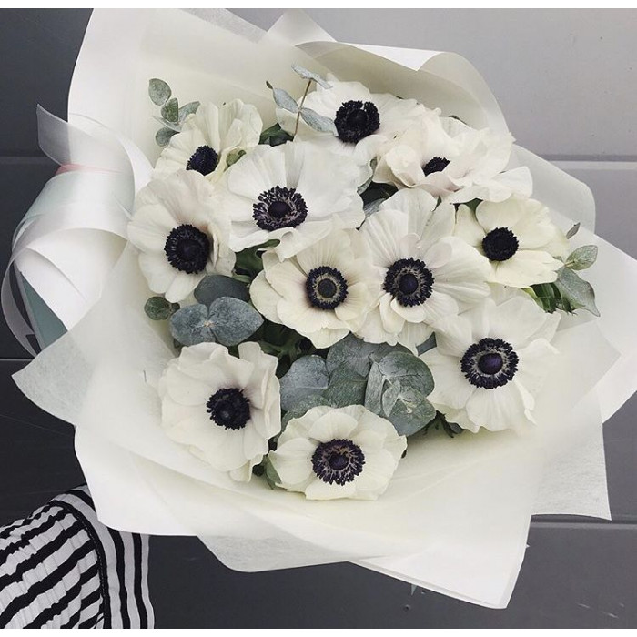 Анемоны в Алматы