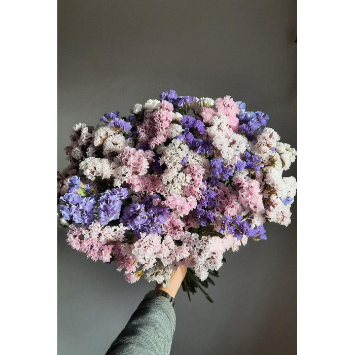 Статица (Лимониум) в Алматы