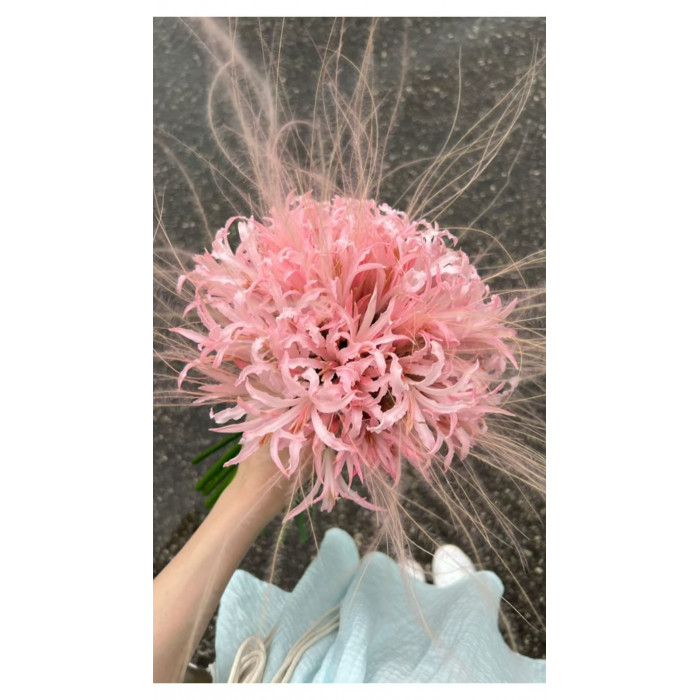 Нерине в Алматы