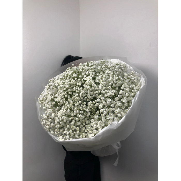 Гипсофила классическая в Алматы