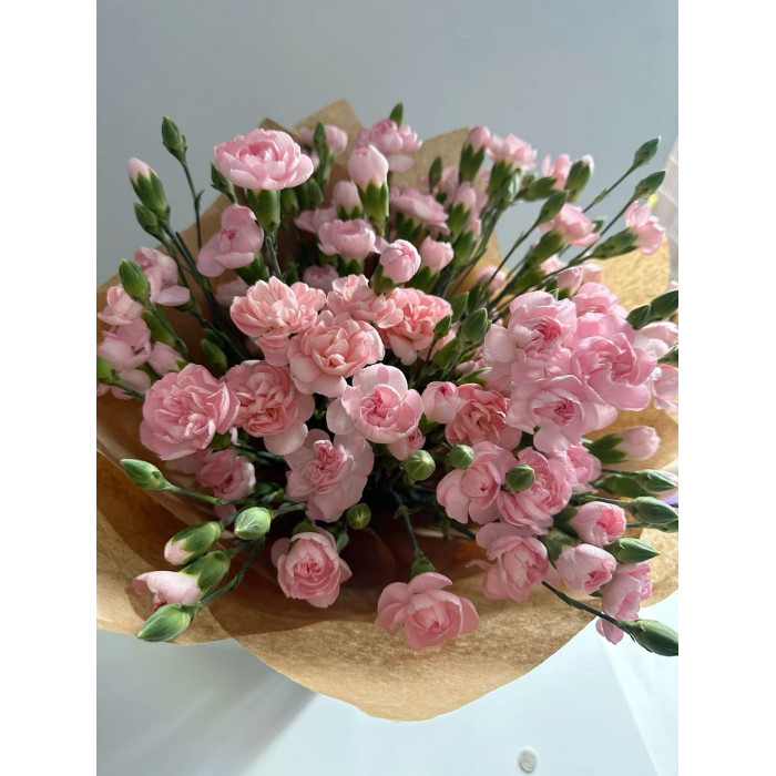 Кустовые гвоздики в Алматы