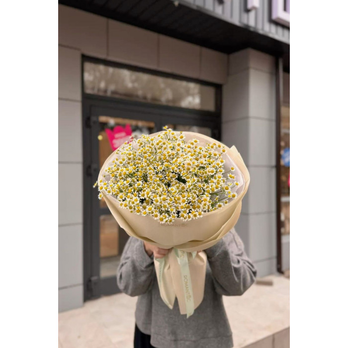 Танацетум в Алматы